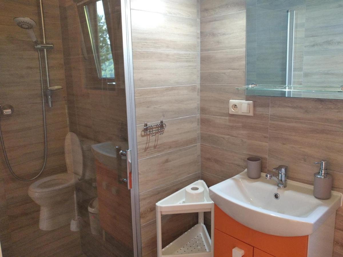 Apartamenty I Domki Wolkowyja Extérieur photo